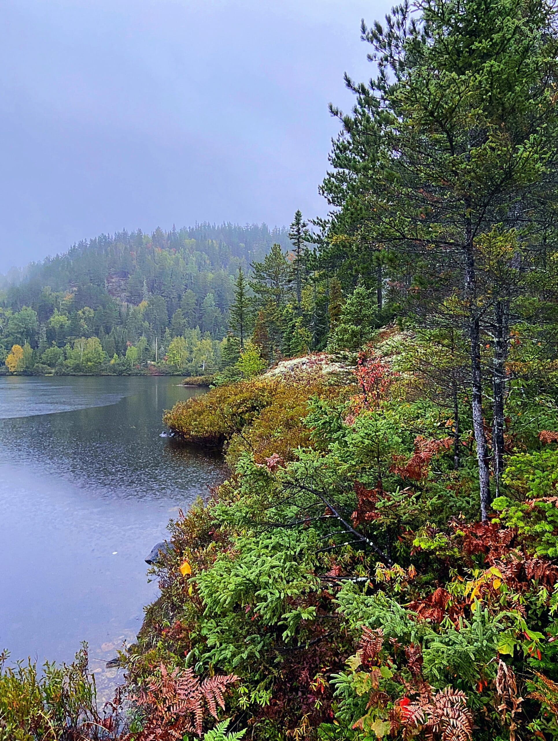 Sentier du MontAlphée Municipalité de PetitSaguenay