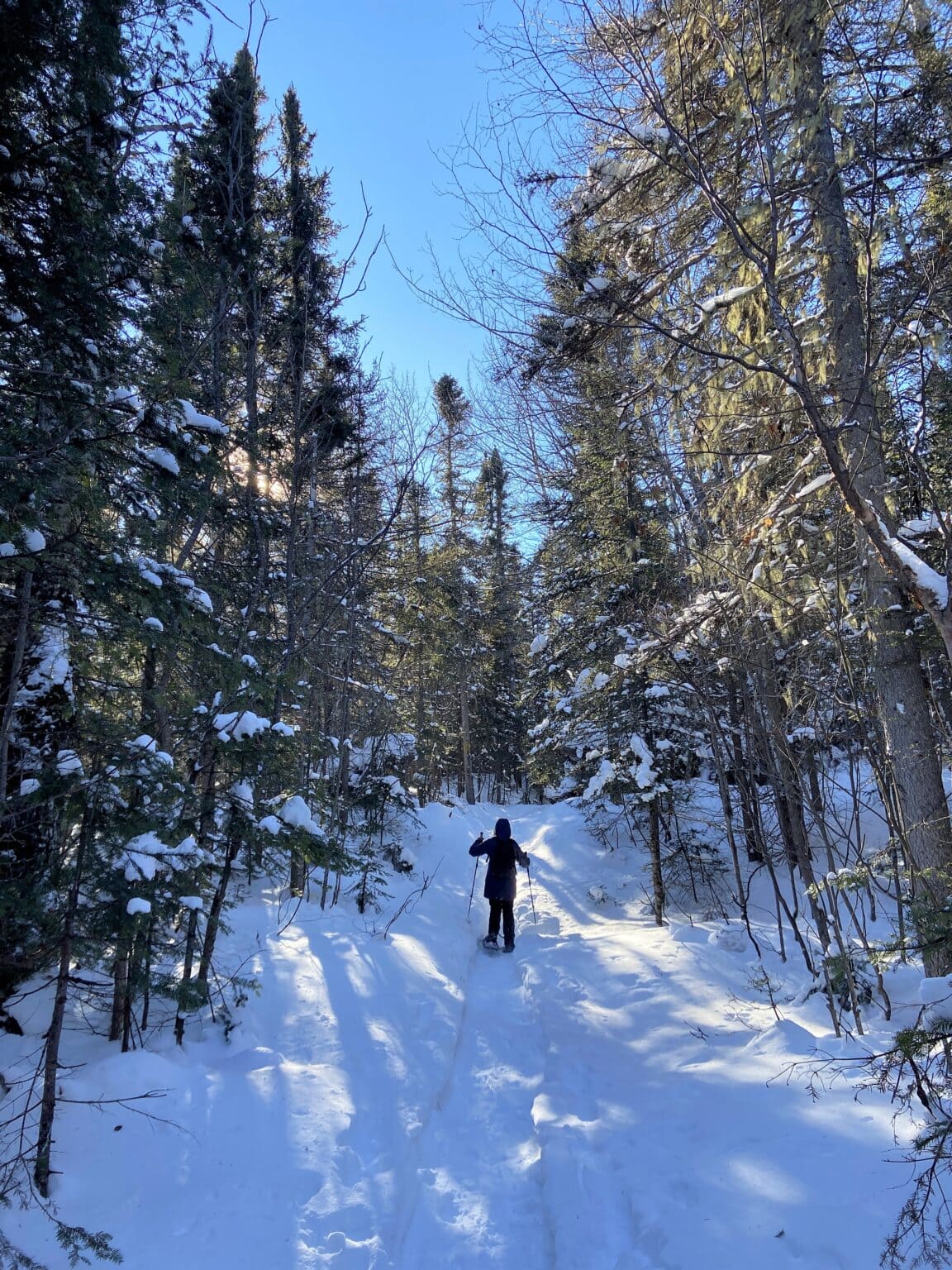 Sentier du Cap à Don Jean Municipalité de PetitSaguenay