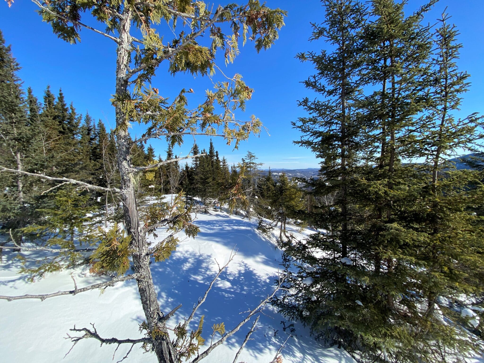 Sentier du Cap à Don Jean Municipalité de PetitSaguenay