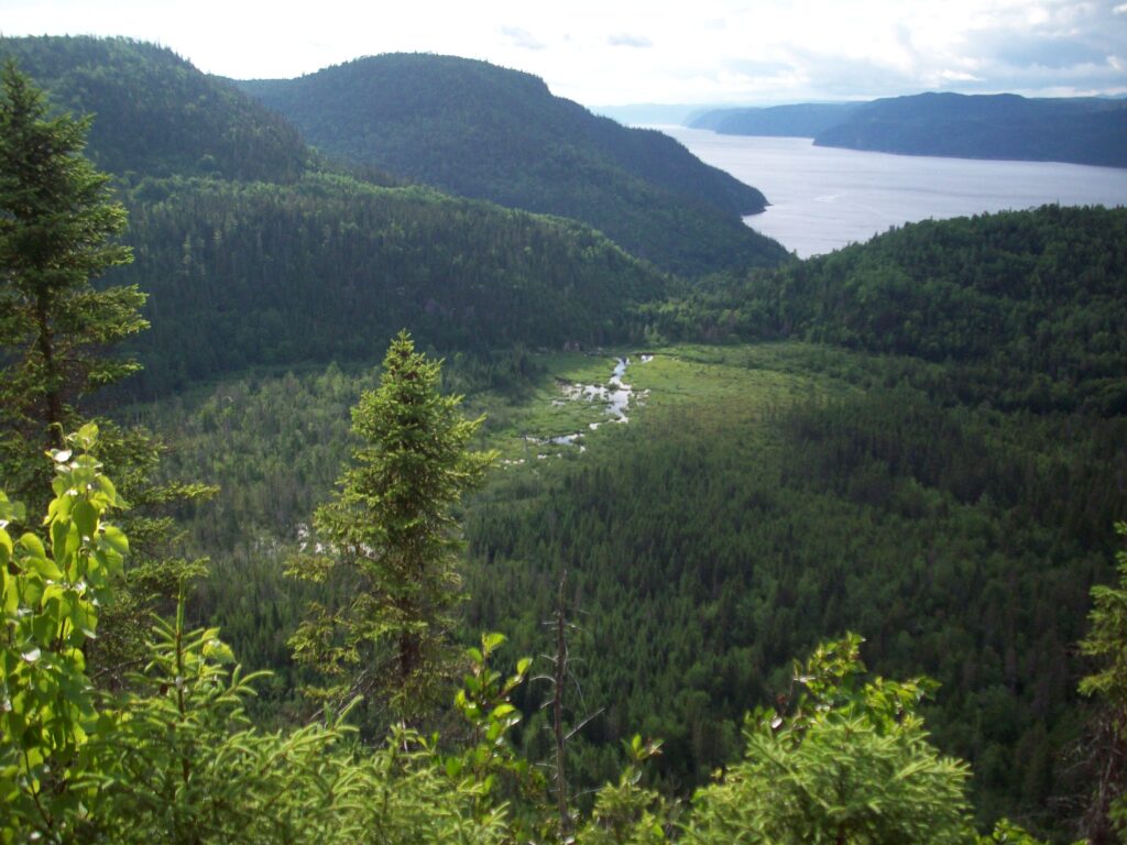 Point de vue sur le fjord du Saguenay