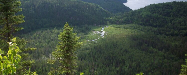 Point de vue sur le fjord du Saguenay