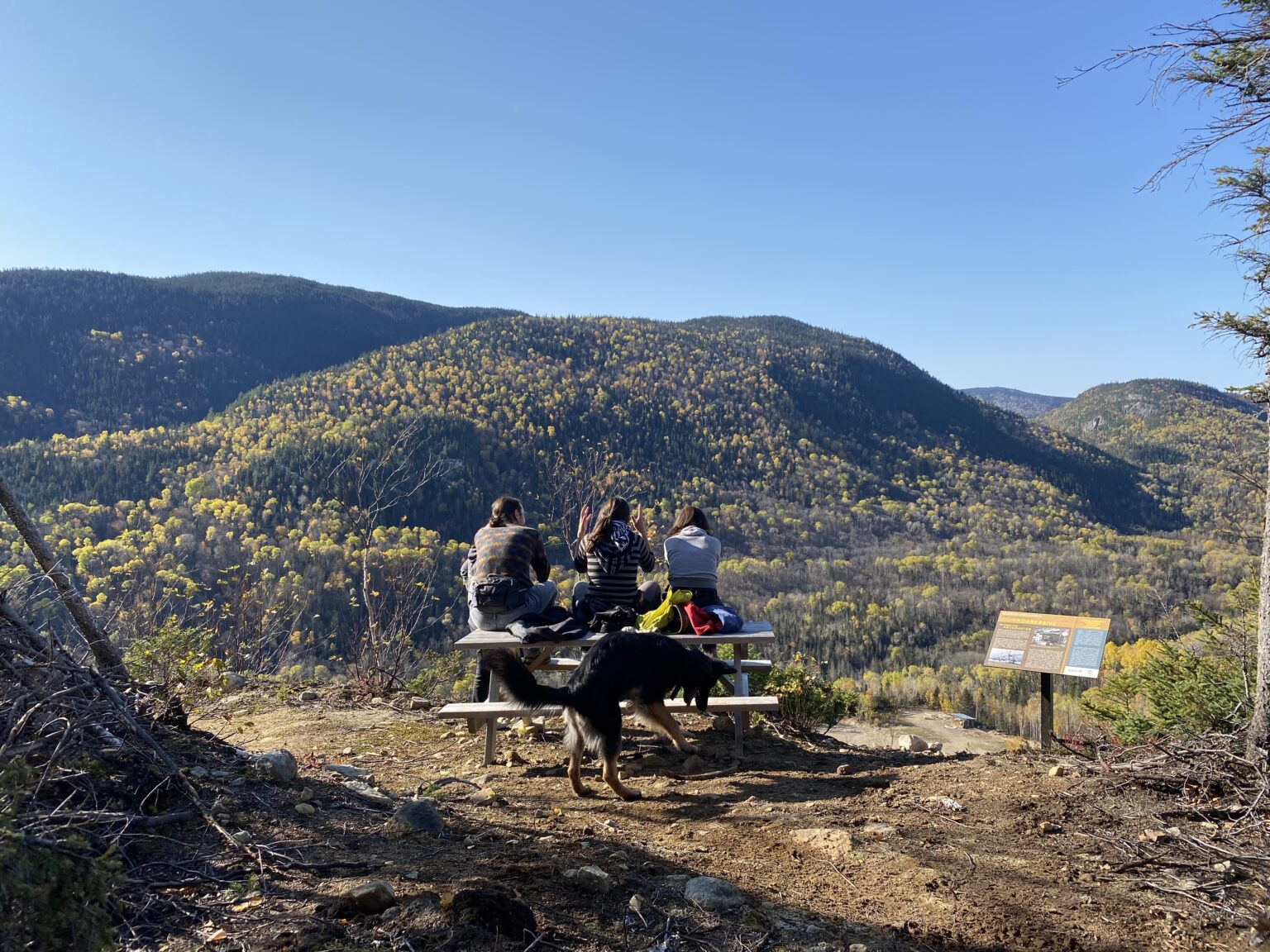 Accueil Municipalité de PetitSaguenay