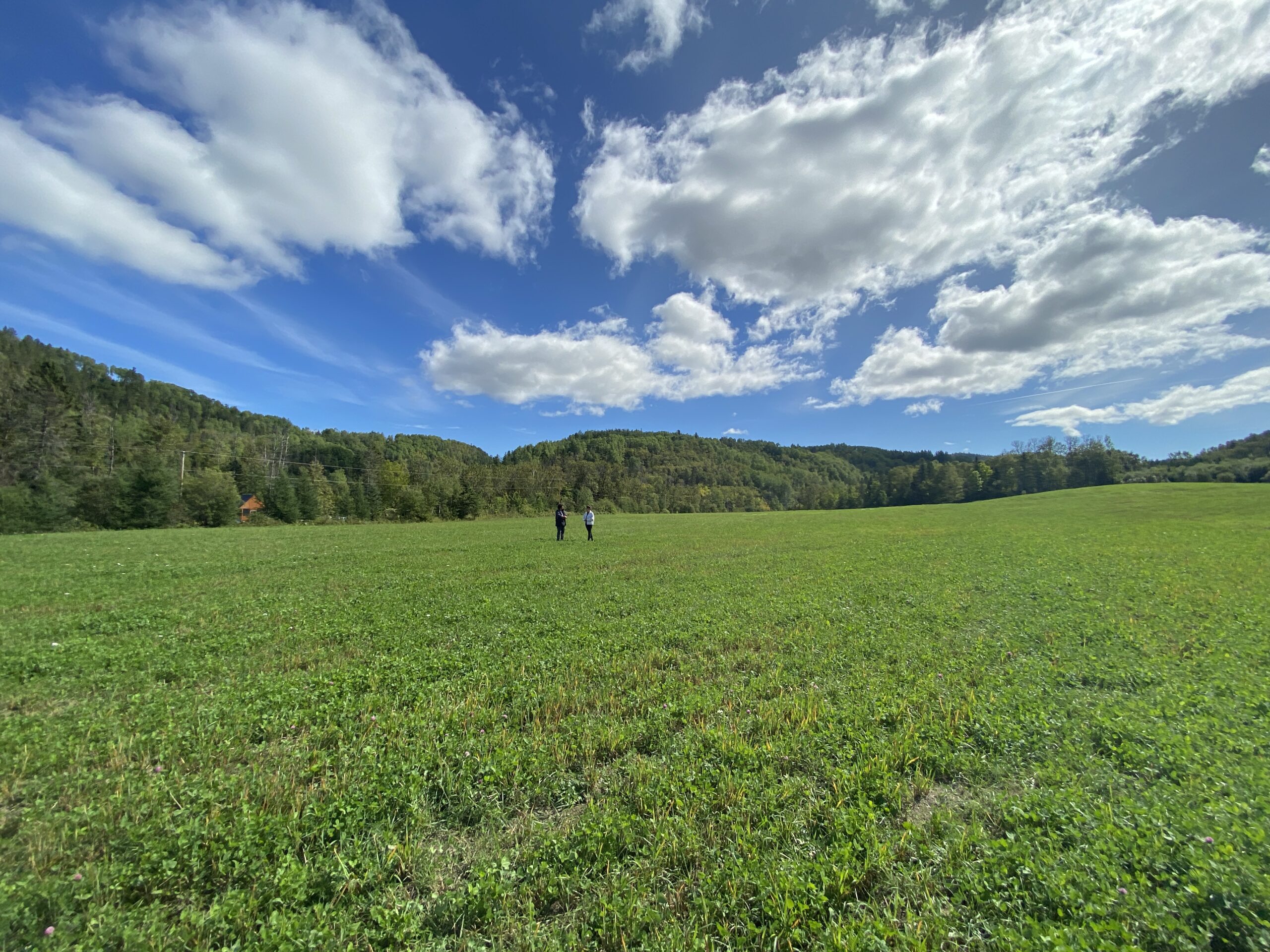 L’écoquartier participatif en phase de consolidation Municipalité de